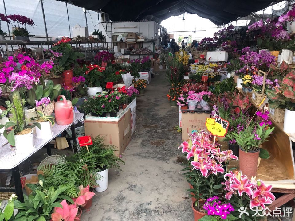 花卉市场图片