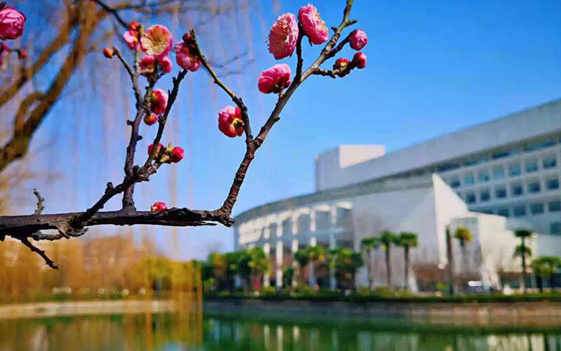 上海大学嘉定校区图片