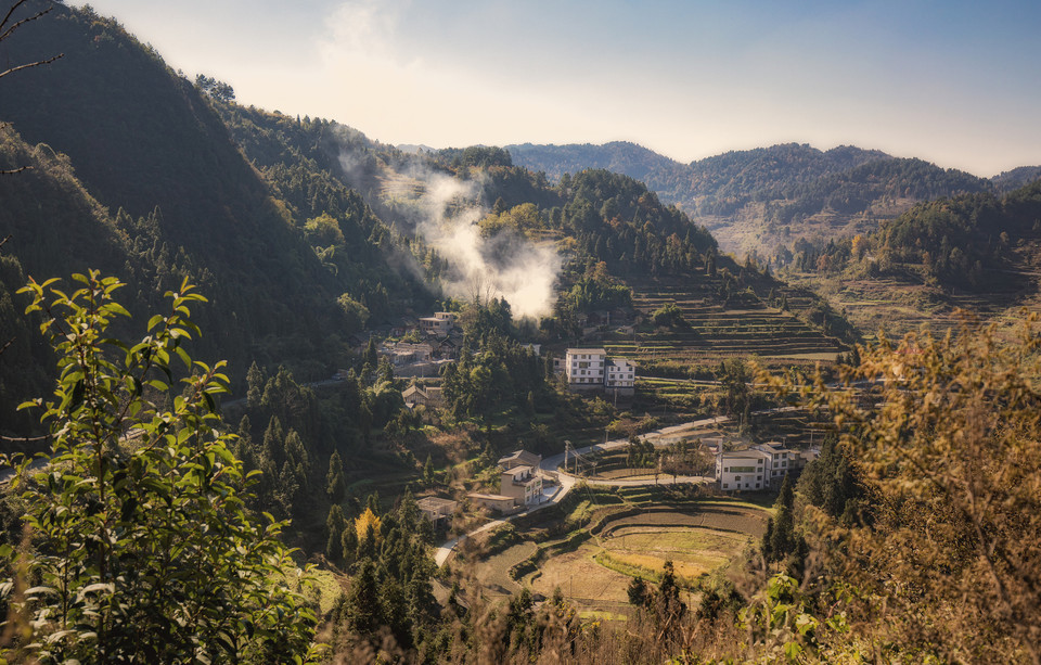 走,在哪,在哪里,在哪儿):贵阳市云岩区黔灵镇贵州省植物园委员会电话