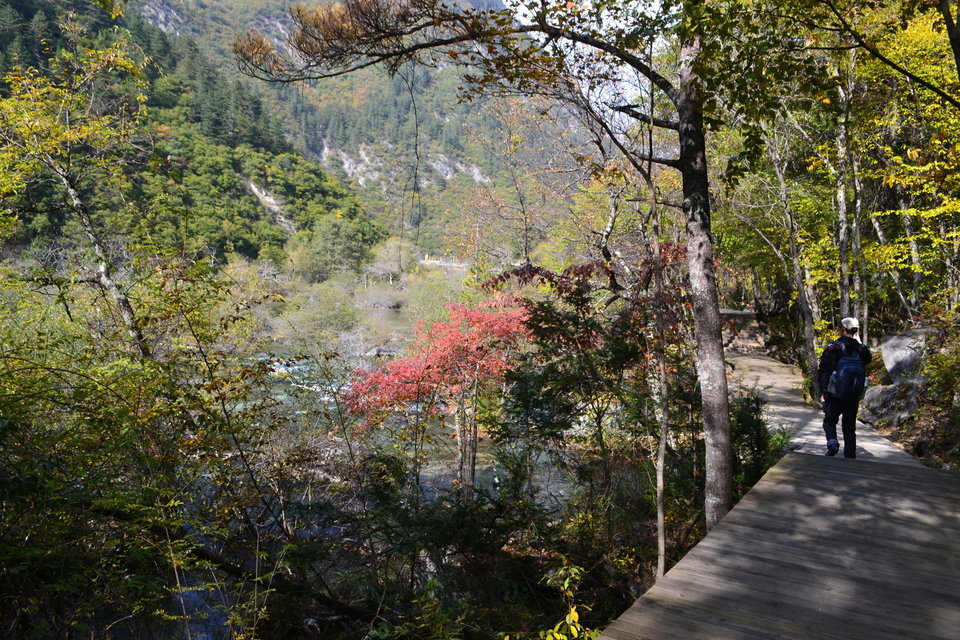 休闲娱乐 景点公园 > 剑岩悬泉剑岩悬泉位于阿坝藏族羌族自治州九寨沟