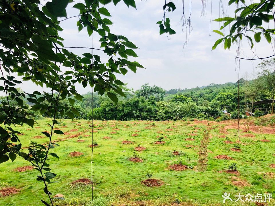广西南宁市新城区桃源路跑马场