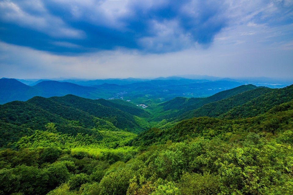 【南山竹海景區】南山竹海景區門票,南山竹海景區遊玩攻略_360地圖