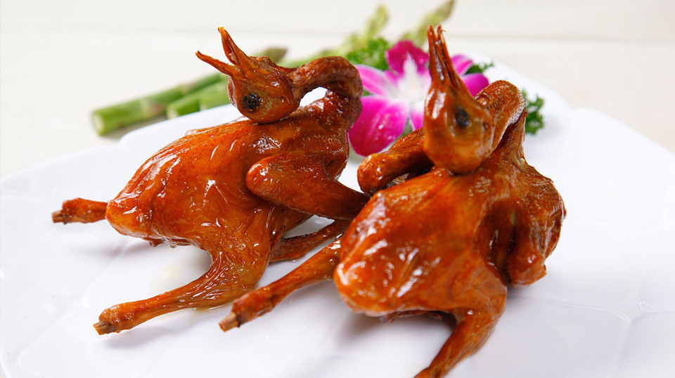 金牌脆皮乳鸽图片