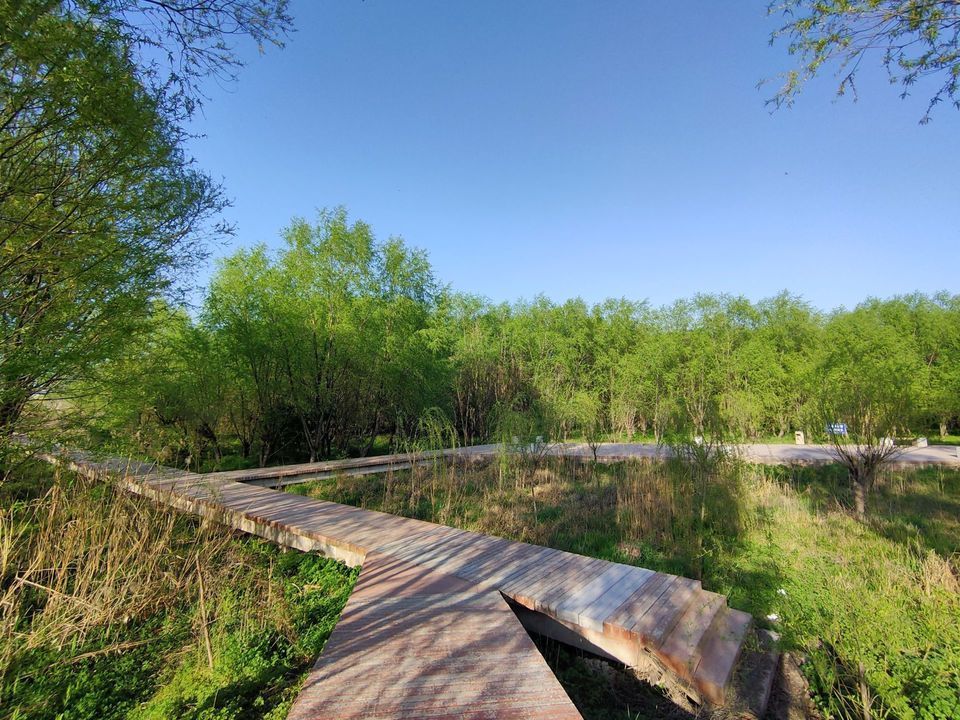 查看南京河西魚嘴溼地公園_360地圖搜索結果列表