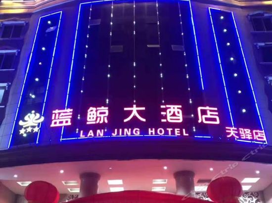 蓝鲸天驿大酒店图片