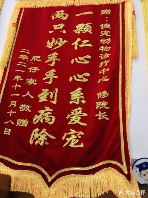 分类:生活服务;宠物服务;动物医疗场所;医疗保健;医疗机构;宠物医院