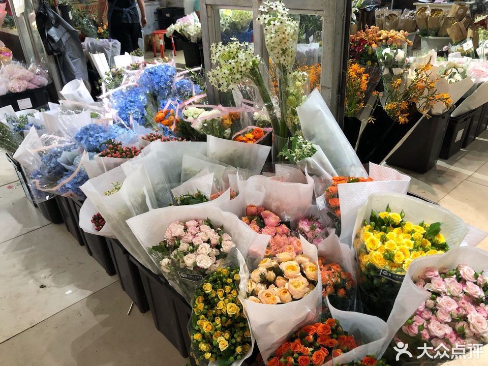 明珠花卉市场图片