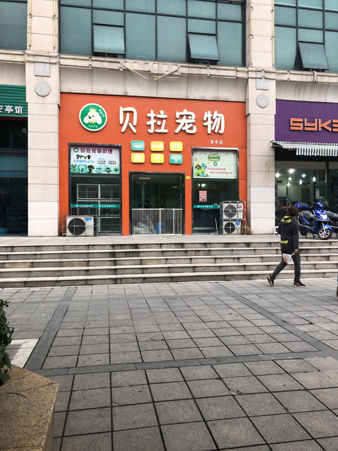 宠物店门店照片图片