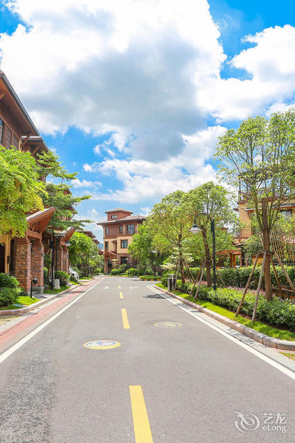 佛山天琴湾别墅图片