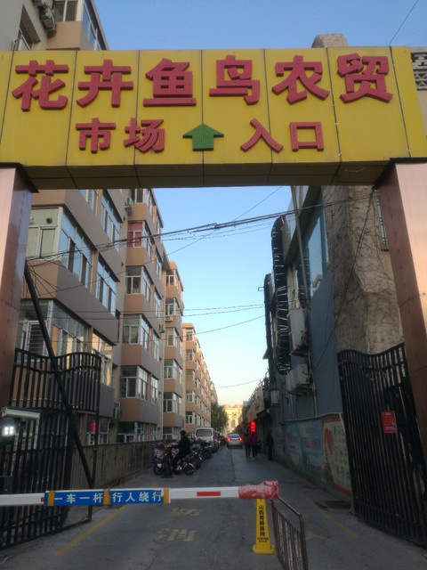 下元花鸟鱼农贸市场图片